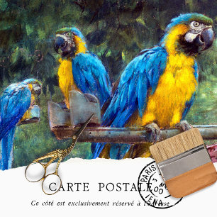 Mousseline Papier de découpage vintage bleu jaune Macaws