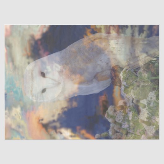 Mousseline Papier de fond de découpage de choux Breeze (Recto)