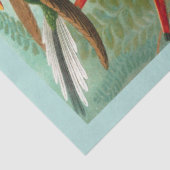 Mousseline Papier de fond de découpage des colibris (Détail)