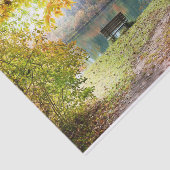 Mousseline Papier de fond de la forêt d'automne (Détail)