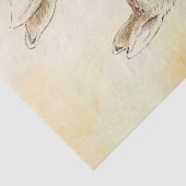 Mousseline Papier de fond Peter Rabbit (Détail)