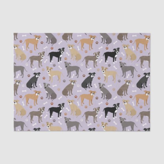 Mousseline Papier de fond Pitbulle et Bones (Recto)