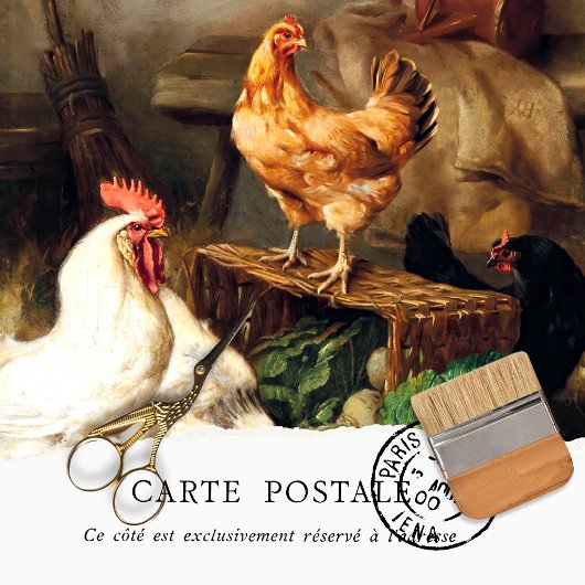 Mousseline Papier de fond vintage poulet et coq