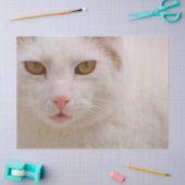 Mousseline papier de mouchoir kitty crème (Artisanat)