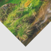 Mousseline papier de mouture de pays (Détail)