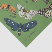 Mousseline papier de papier de 18 livres vert papillon (Détail)