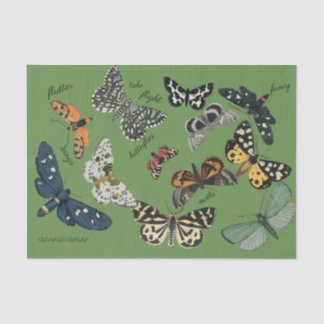 Mousseline papier de papier de 18 livres vert papillon