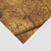 Mousseline Papier de papier de découpage Arrière - plan à feu (Détail)