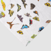 Mousseline Papier de papier de découpage de la collection pap (Détail)