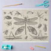 Mousseline Papier de papier de découpage de l'insecte de libe (Artisanat)