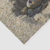 Mousseline Papier de papier de découpage du crabe de sable de (Détail)