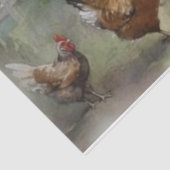 Mousseline Papier de papier de fond de cuvette de poulet (Détail)