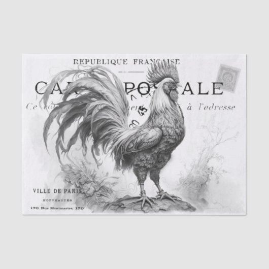 Mousseline Papier de papier de fond de poulet (Recto)