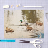 Mousseline Papier de papier de fond Mallard Ducks (Artisanat)