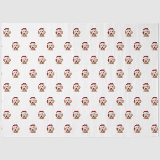 Mousseline Papier de papier de griffe dorée de Noël (Recto)