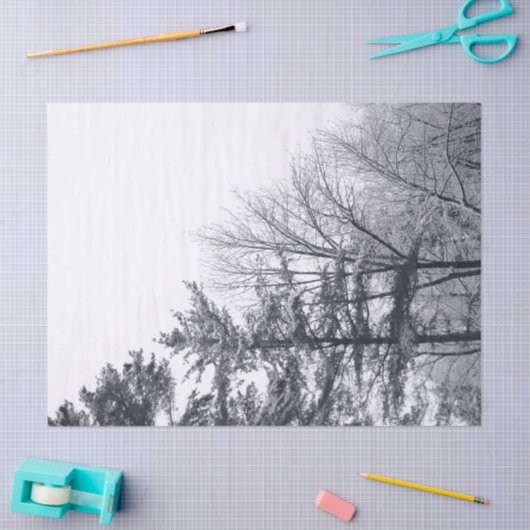 Mousseline Papier de papier de tissus recouvert de neige (Artisanat)