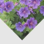 Mousseline Papier de papier de tôle de géranium de Cranesbill (Détail)