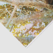 Mousseline Papier de papier tissu de chouette barrée (Détail)