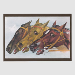 Mousseline papier de tissu à trois chevaux