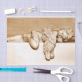 Mousseline papier de tissu d'ange dormant (Artisanat)