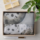 Mousseline Papier de tissu de canapé (Cadeau)