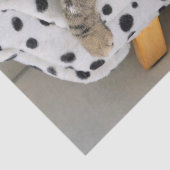 Mousseline Papier de tissu de canapé (Détail)