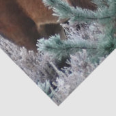 Mousseline papier de tissu de cerf curiosité (Détail)