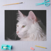Mousseline papier de tissu de chat angora (Artisanat)