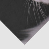 Mousseline papier de tissu de chat angora (Détail)