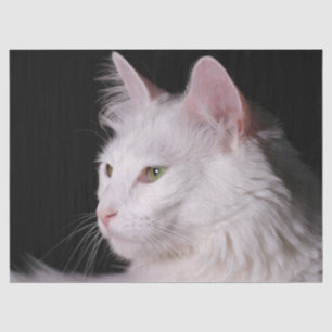 Mousseline papier de tissu de chat angora