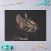Mousseline papier de tissu de chat kitty (Artisanat)