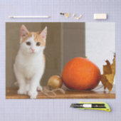Mousseline papier de tissu de chat octobre (Artisanat)