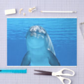 Mousseline papier de tissu de dauphin océanique (Artisanat)