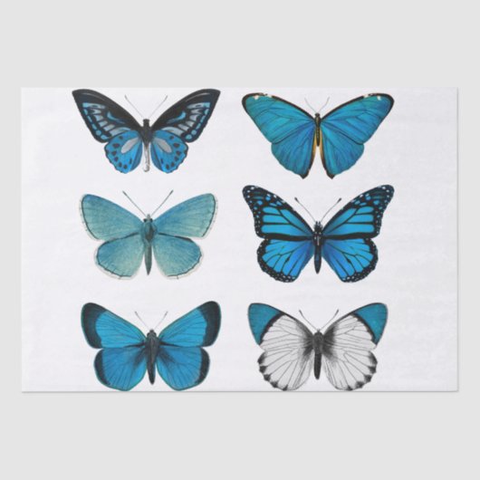 MOUSSELINE PAPIER DE TISSU DE DÉCOUPAGE : BOUTEILLES (Recto)