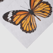 MOUSSELINE PAPIER DE TISSU DE DÉCOUPAGE : MONARCH BUTTERFLY (Détail)