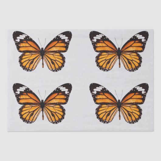 MOUSSELINE PAPIER DE TISSU DE DÉCOUPAGE : MONARCH BUTTERFLY (Recto)