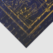 Mousseline papier de tissu de la constellation de gemini (Détail)