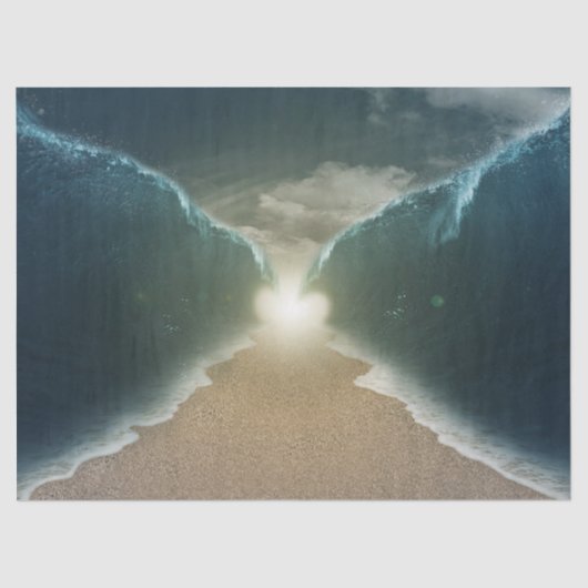 Mousseline papier de tissu de la mer rouge (Recto)