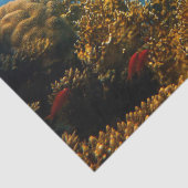 Mousseline papier de tissu de la vie marine (Détail)