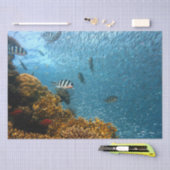 Mousseline papier de tissu de la vie marine (Artisanat)