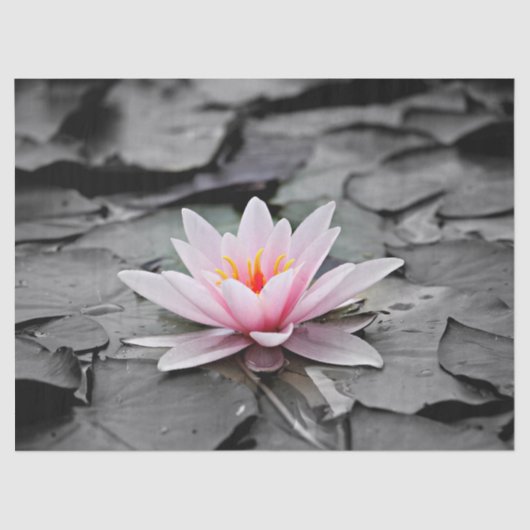 Mousseline papier de tissu de nénuphar (Recto)