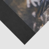 Mousseline papier de tissu de pingouin solitaire (Détail)