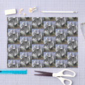 Mousseline Papier de tissu décoratif Wolf (Artisanat)