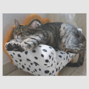 Mousseline papier de tissu du chat