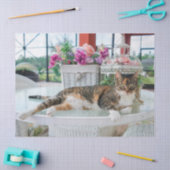 Mousseline papier de tissu du chat (Artisanat)