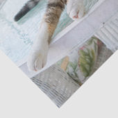 Mousseline papier de tissu du chat (Détail)