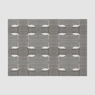MOUSSELINE PAPIER DE TISSU - GLISDES TURAN