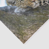 Mousseline papier de tissu léopard (Détail)