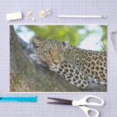 Mousseline papier de tissu léopard (Artisanat)