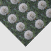 Mousseline Papier de tissus à fleur de candéon (Détail)